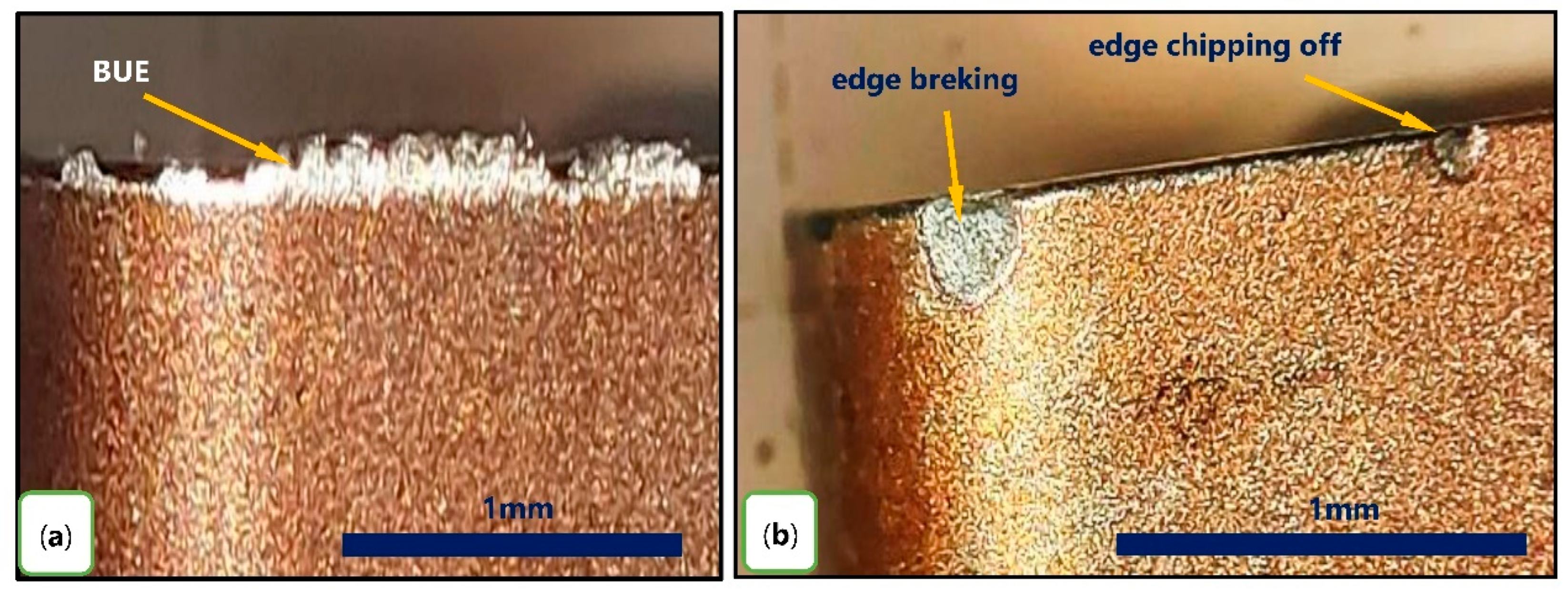 Lubricants 10 00359 g009 Lubricants 10 00359 g009