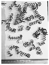 Lubricants 10 00359 i022 Lubricants 10 00359 i022