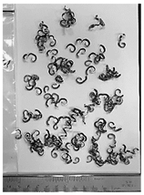 Lubricants 10 00359 i024 Lubricants 10 00359 i024