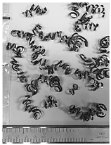 Lubricants 10 00359 i030 Lubricants 10 00359 i030