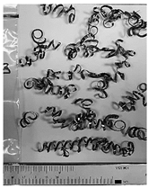 Lubricants 10 00359 i031 Lubricants 10 00359 i031