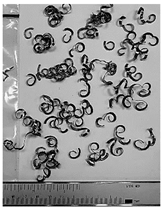 Lubricants 10 00359 i032 Lubricants 10 00359 i032