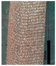 Lubricants 10 00359 i049 Lubricants 10 00359 i049