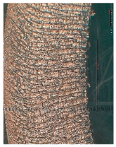 Lubricants 10 00359 i058 Lubricants 10 00359 i058