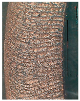 Lubricants 10 00359 i059 Lubricants 10 00359 i059