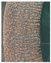 Lubricants 10 00359 i060 Lubricants 10 00359 i060