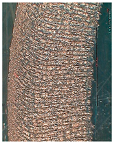 Lubricants 10 00359 i061 Lubricants 10 00359 i061