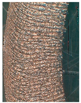 Lubricants 10 00359 i062 Lubricants 10 00359 i062