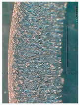 Lubricants 10 00359 i063 Lubricants 10 00359 i063