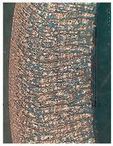 Lubricants 10 00359 i064 Lubricants 10 00359 i064