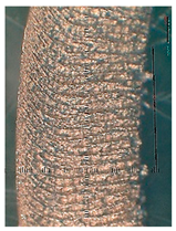 Lubricants 10 00359 i070 Lubricants 10 00359 i070