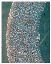 Lubricants 10 00359 i071 Lubricants 10 00359 i071