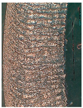 Lubricants 10 00359 i072 Lubricants 10 00359 i072