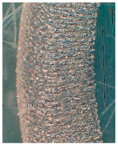 Lubricants 10 00359 i074 Lubricants 10 00359 i074