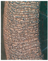 Lubricants 10 00359 i075 Lubricants 10 00359 i075