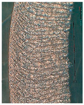 Lubricants 10 00359 i079 Lubricants 10 00359 i079