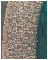 Lubricants 10 00359 i080 Lubricants 10 00359 i080