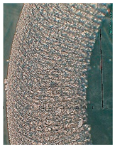 Lubricants 10 00359 i081 Lubricants 10 00359 i081