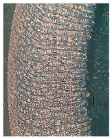 Lubricants 10 00359 i086 Lubricants 10 00359 i086