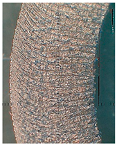 Lubricants 10 00359 i090 Lubricants 10 00359 i090