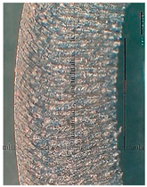 Lubricants 10 00359 i095 Lubricants 10 00359 i095