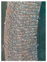 Lubricants 10 00359 i096 Lubricants 10 00359 i096