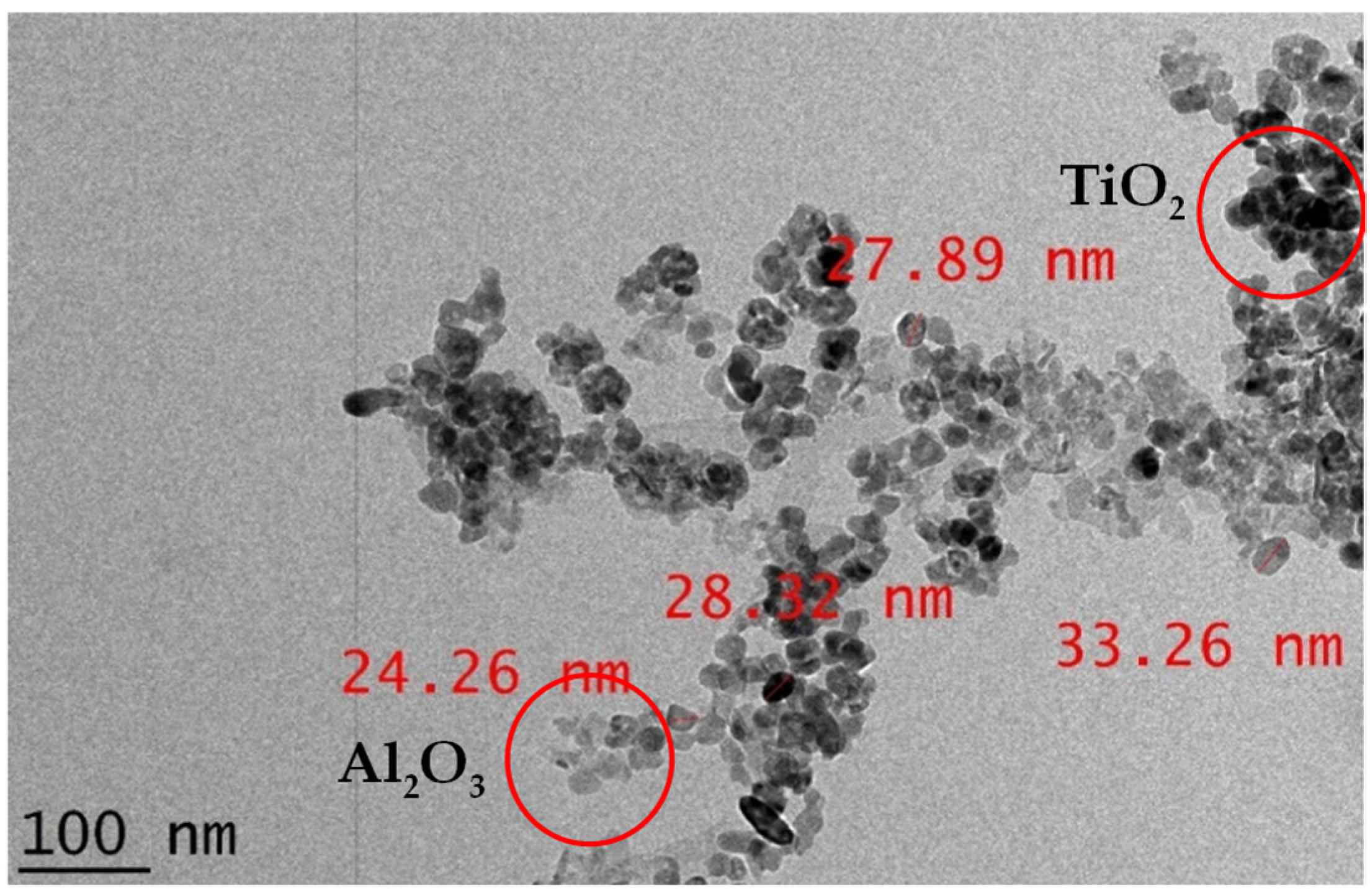Lubricants 10 00366 g006