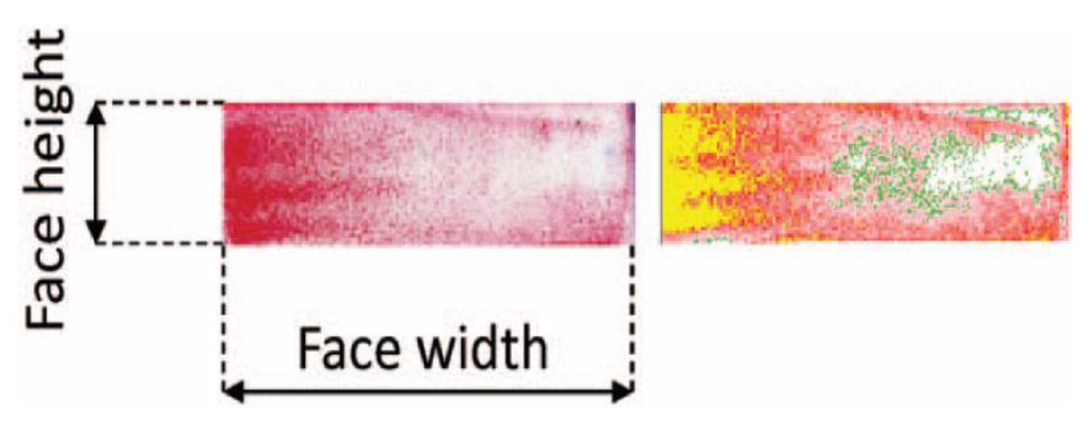 Lubricants 11 00006 g010