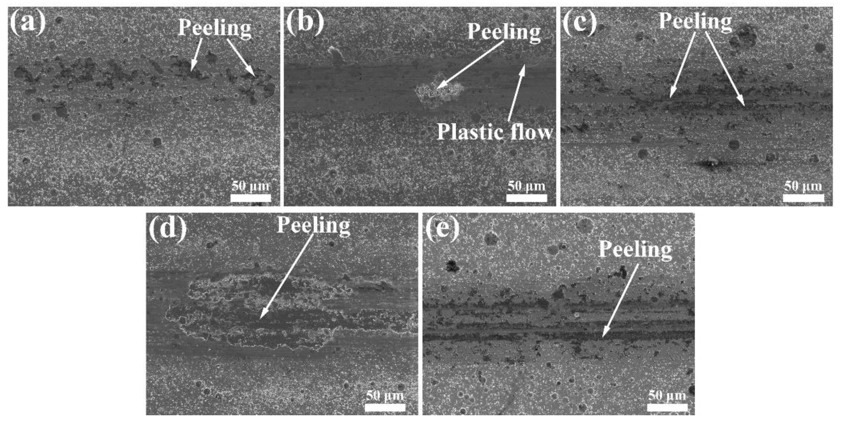 Lubricants 11 00008 g010