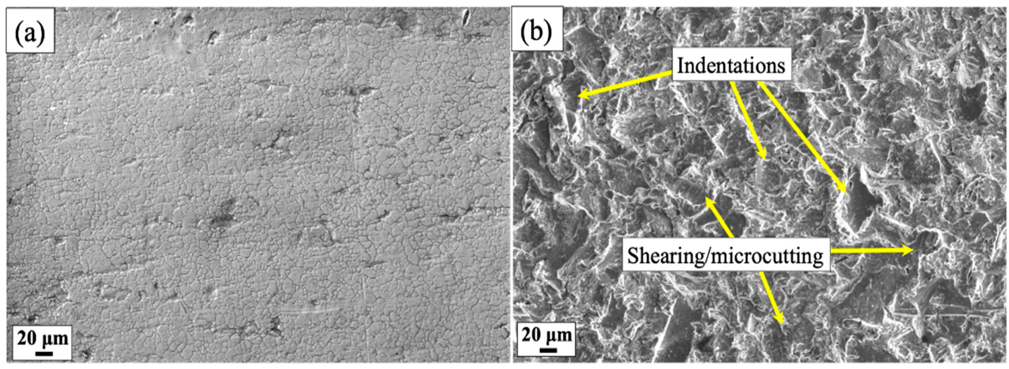 Lubricants 11 00010 g004