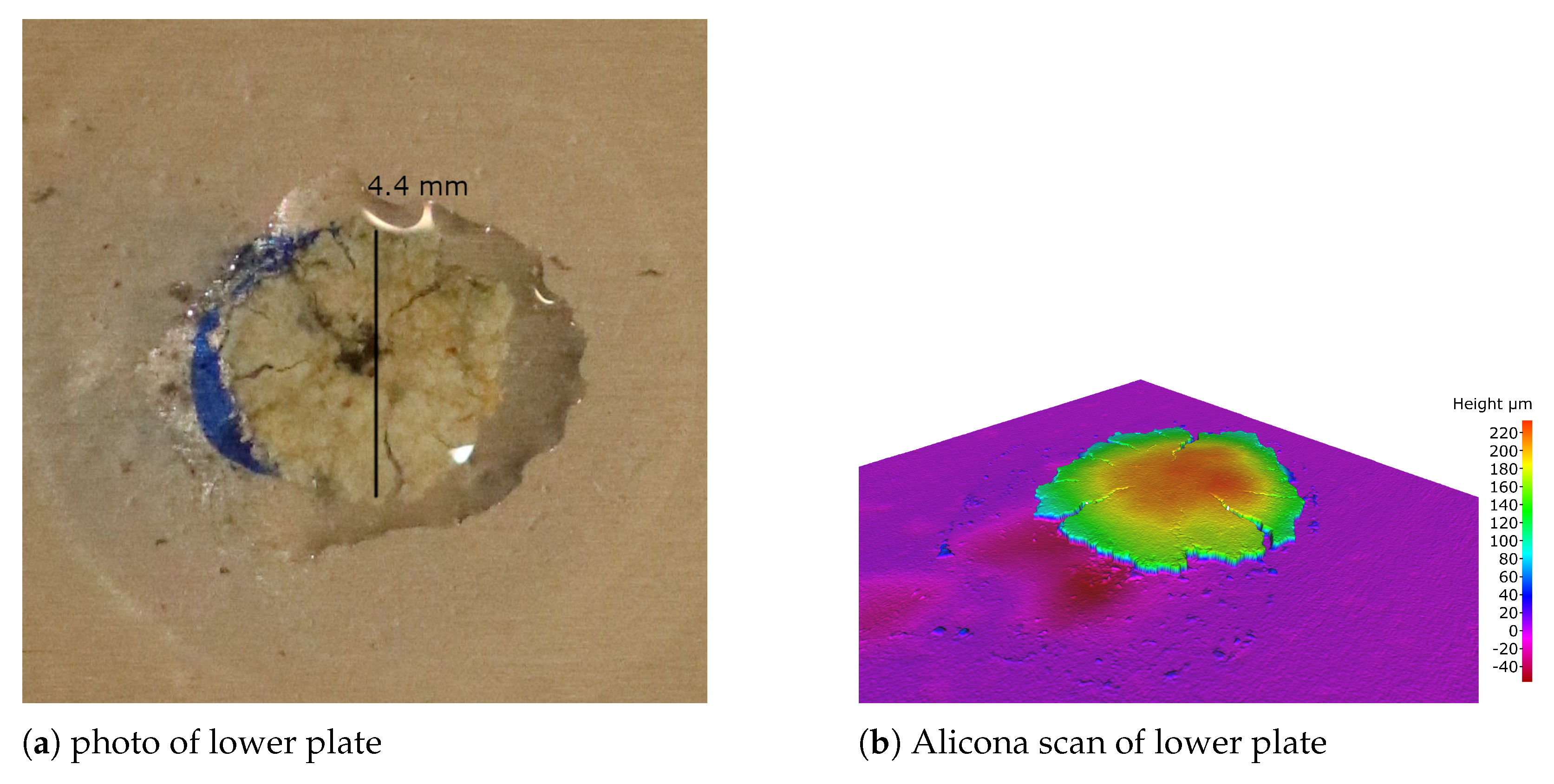 Lubricants 11 00038 g015