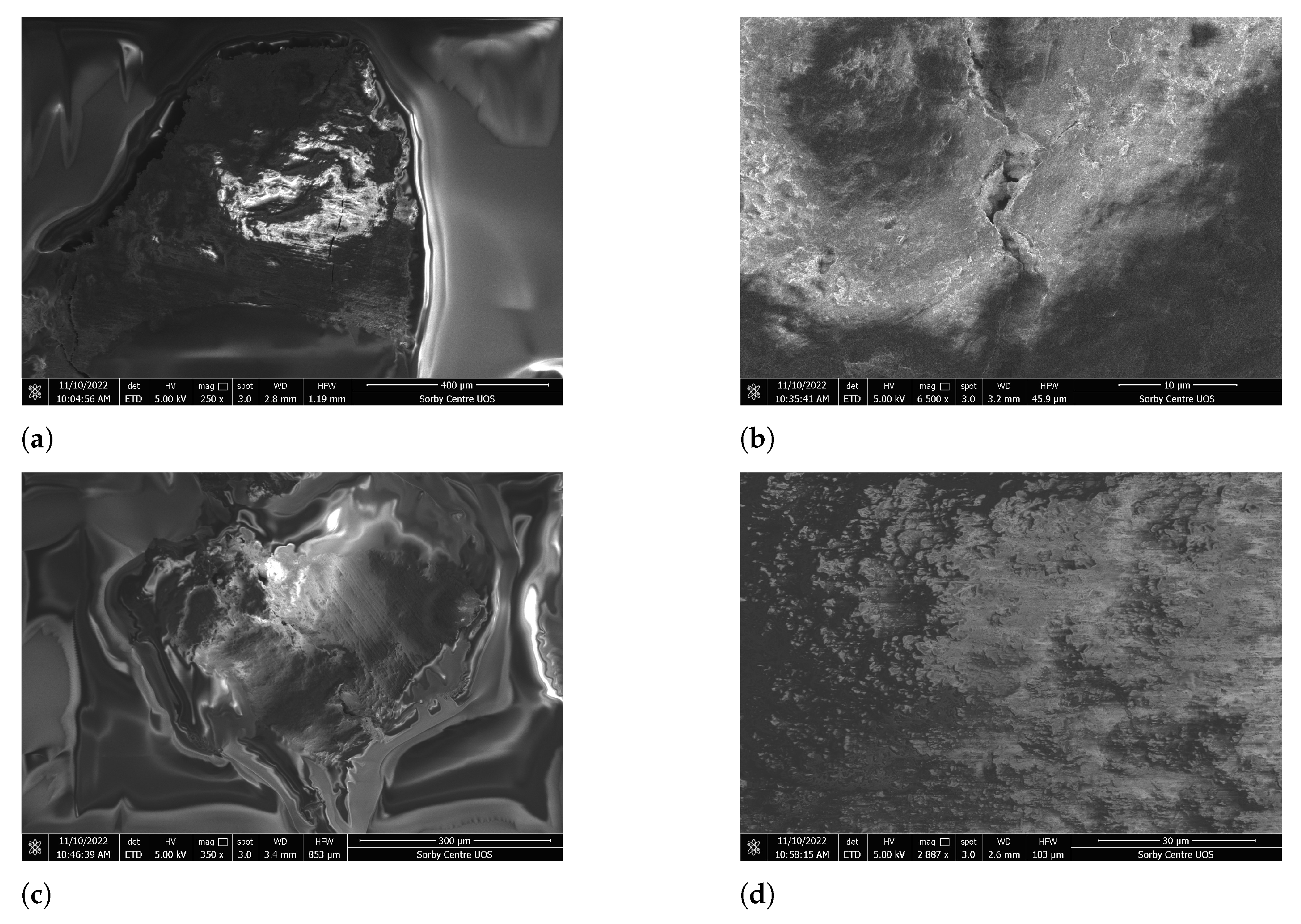 Lubricants 11 00038 g017