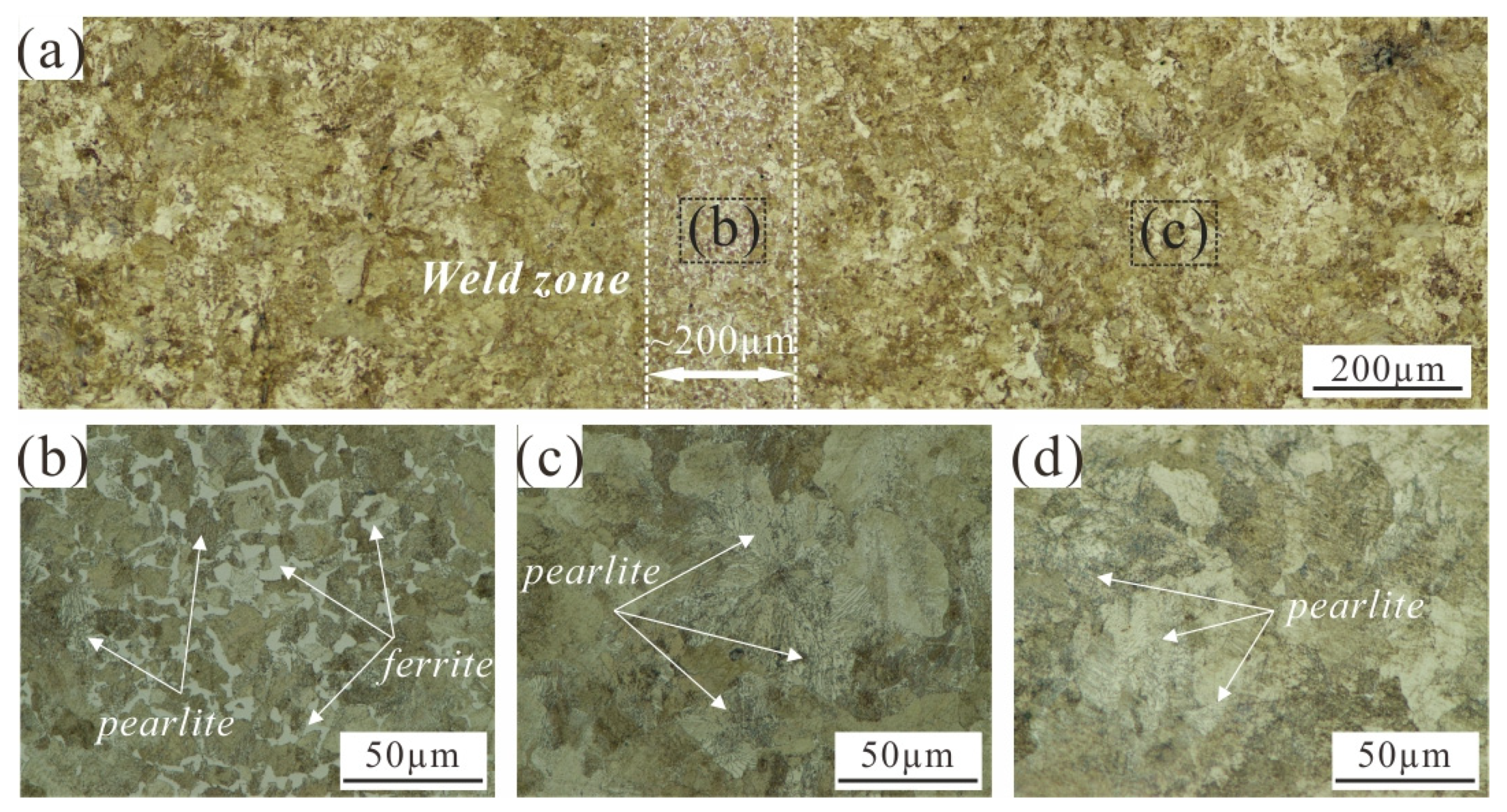 Lubricants 11 00041 g003
