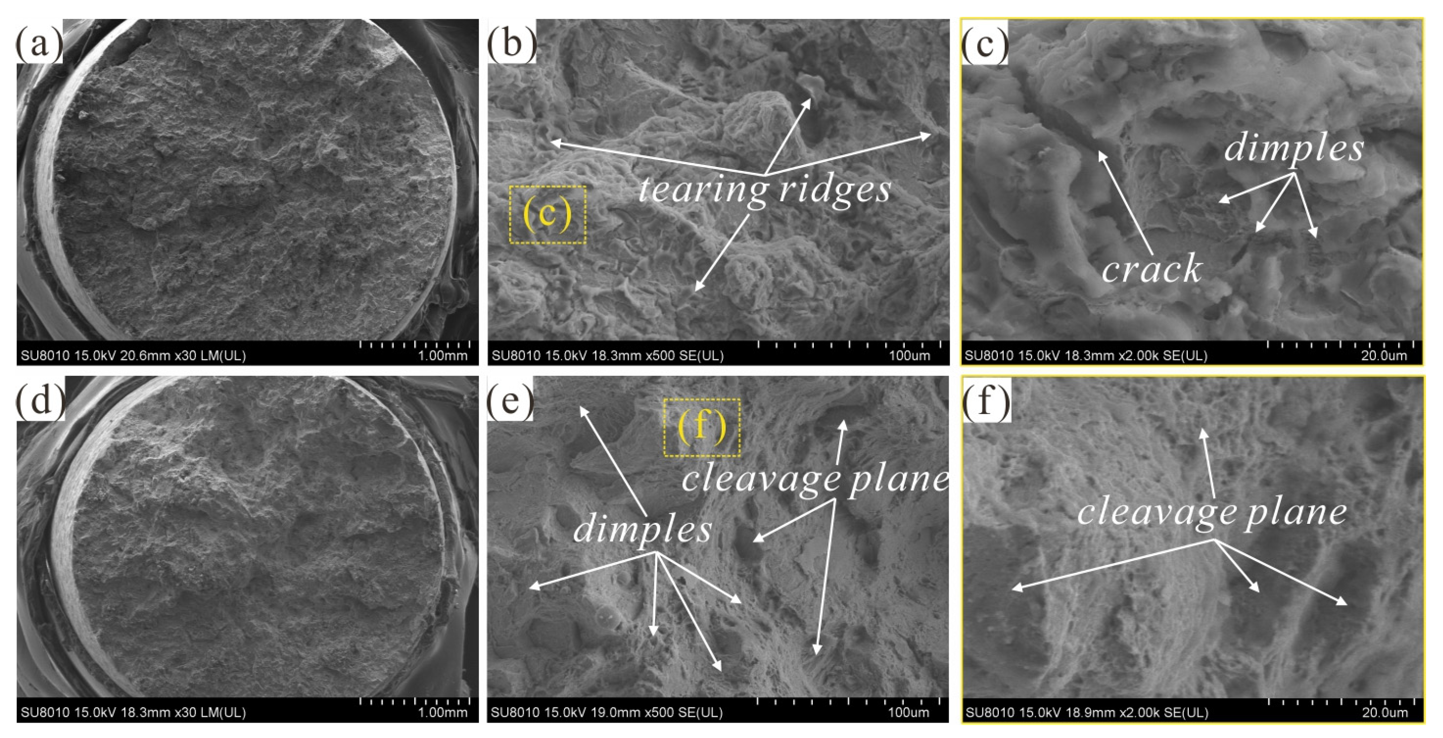 Lubricants 11 00041 g006