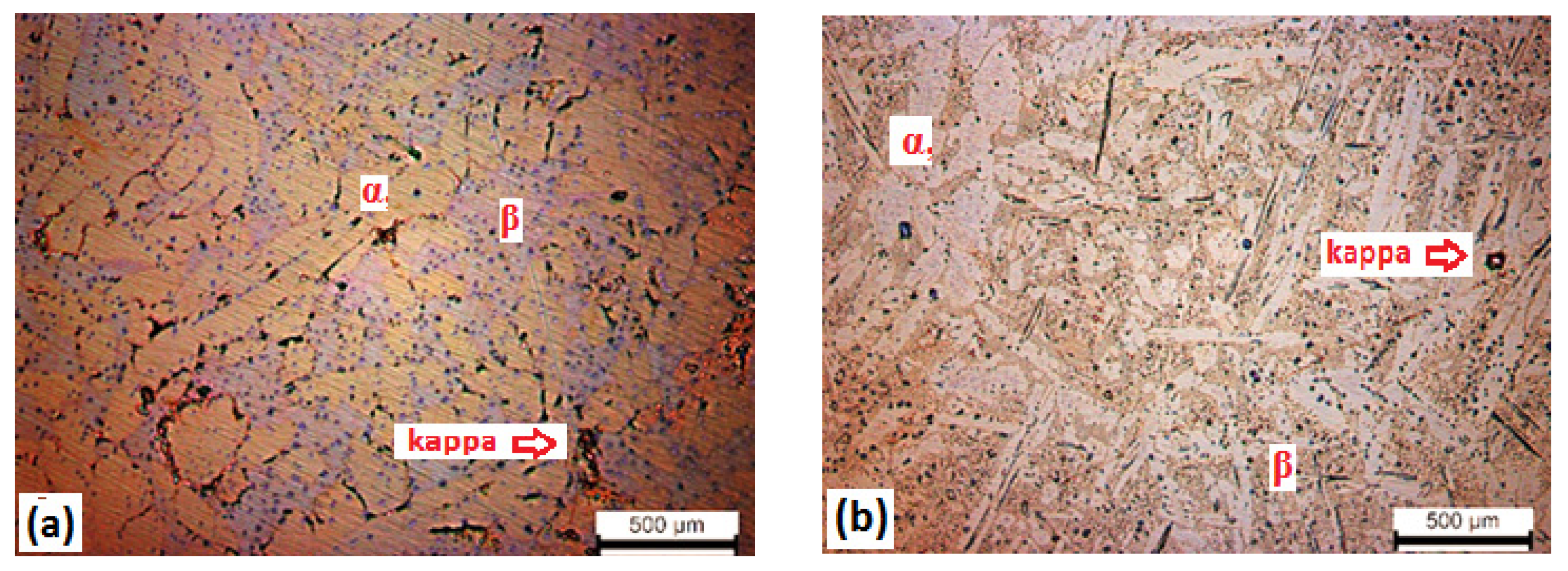 Lubricants 11 00043 g003