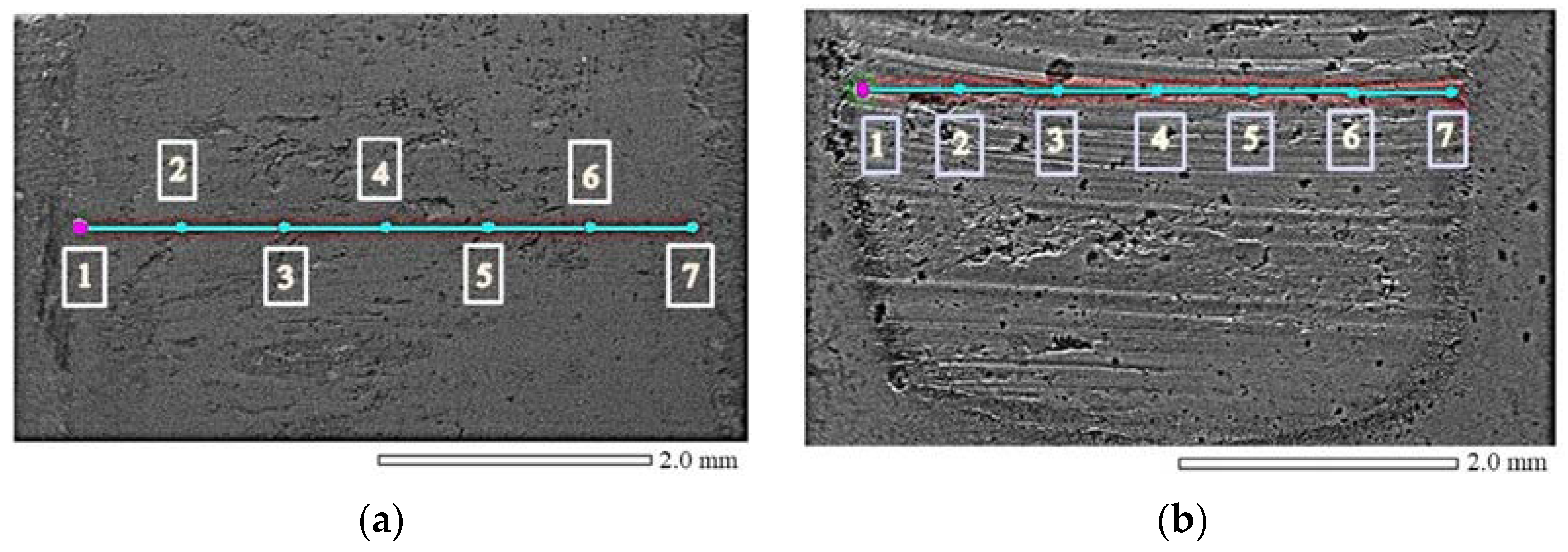 Lubricants 11 00048 g008 Lubricants 11 00048 g008