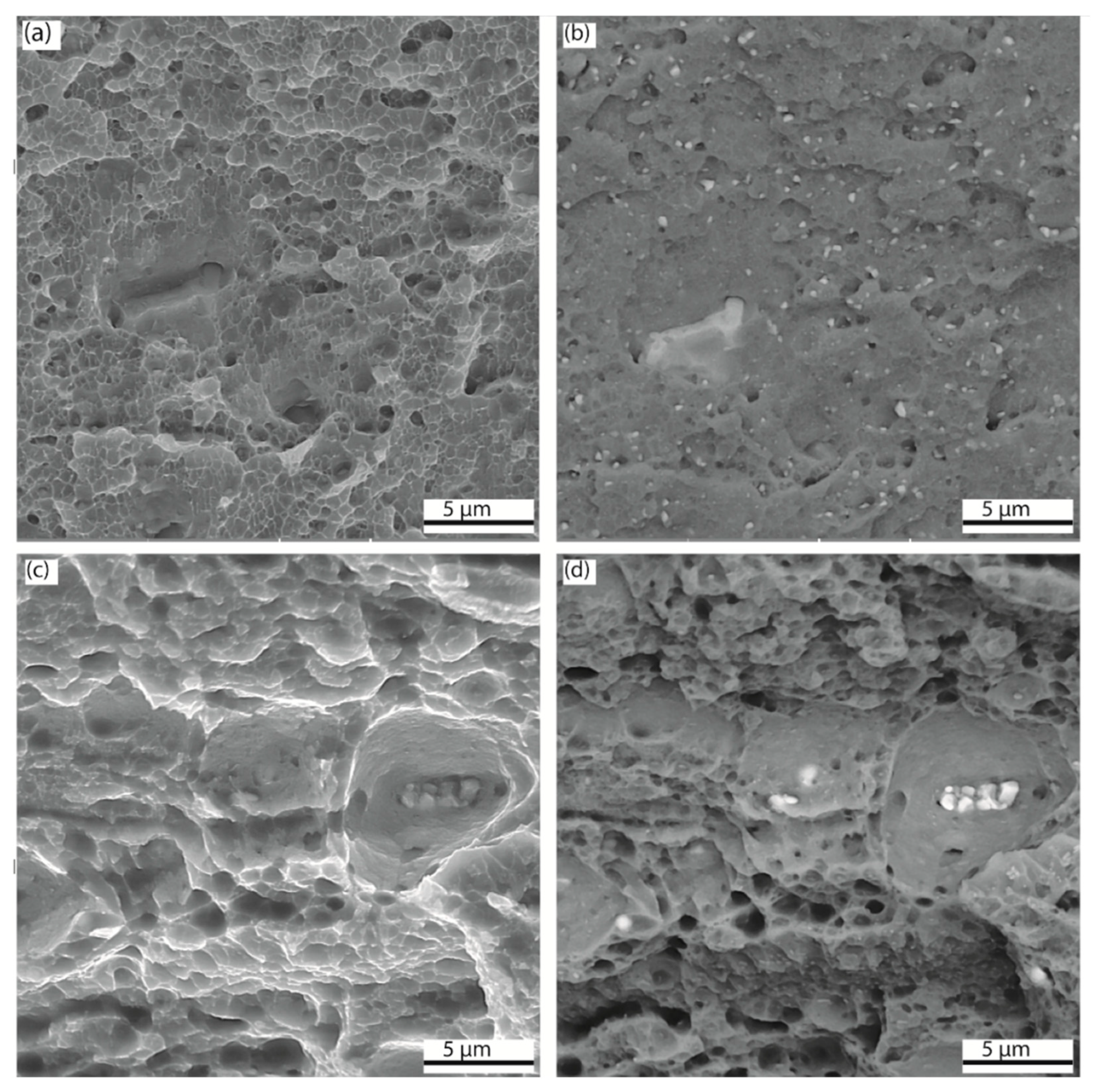 Lubricants 11 00059 g018 Lubricants 11 00059 g018