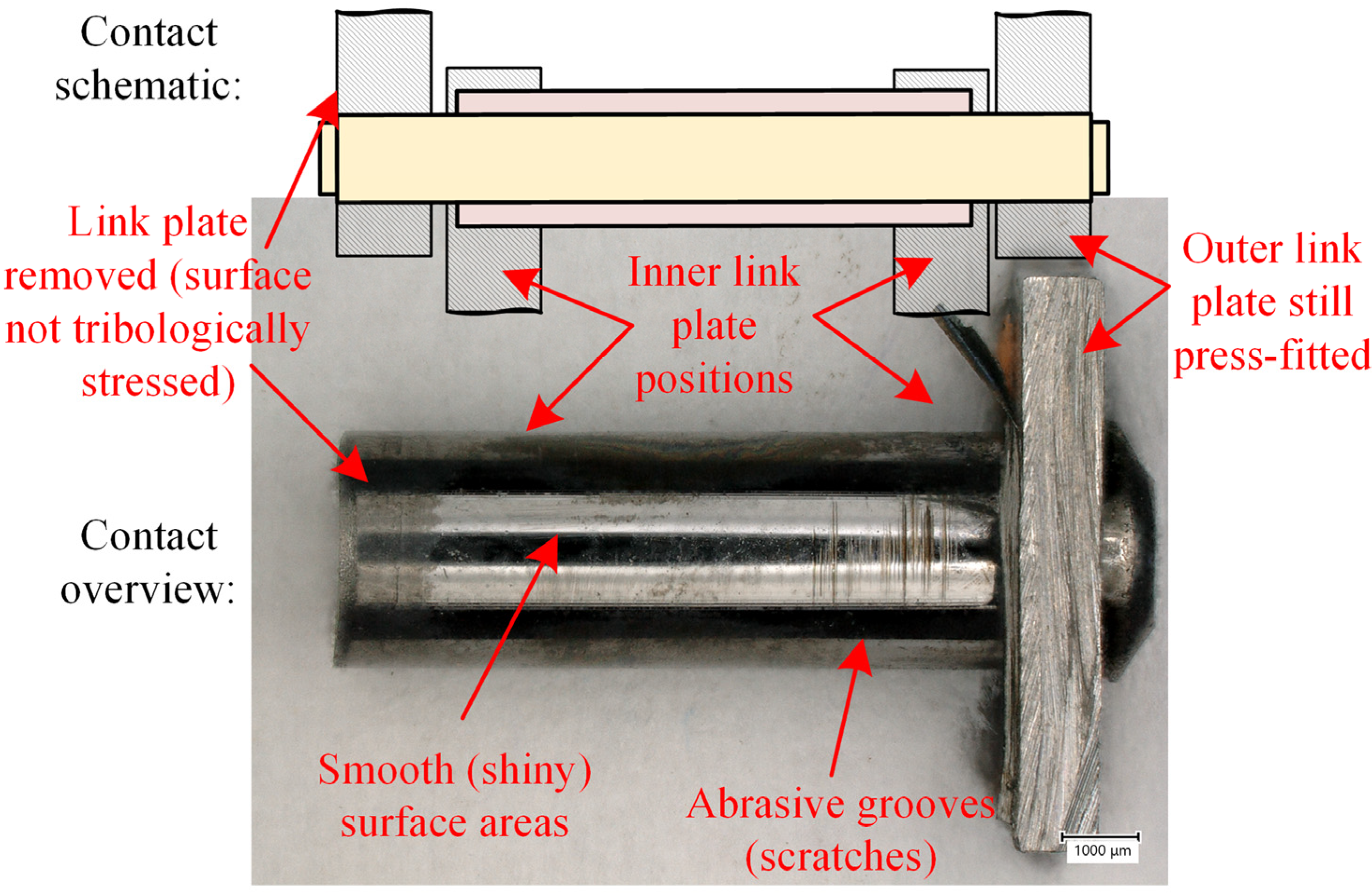 Lubricants 11 00085 g005