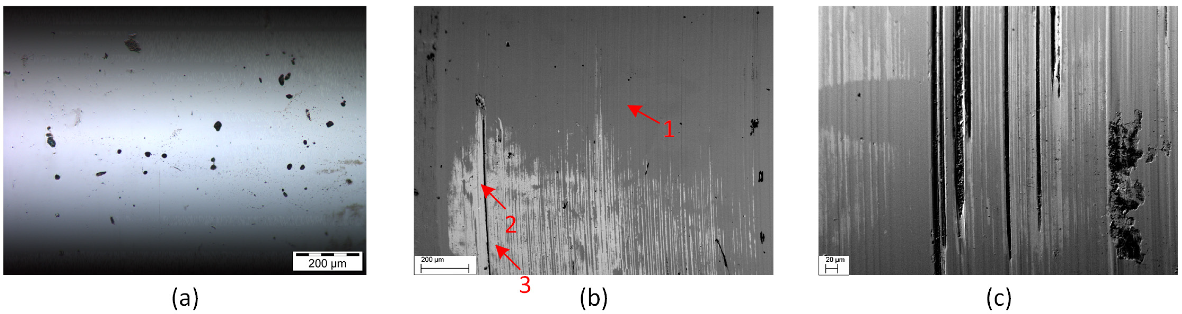 Lubricants 11 00085 g006
