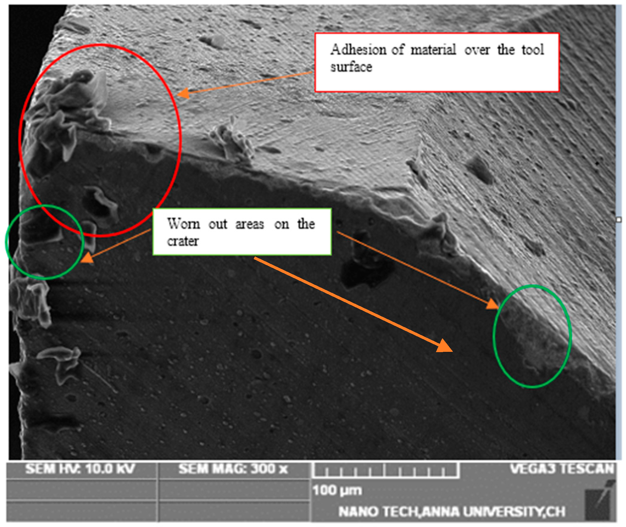 Lubricants 11 00087 g007