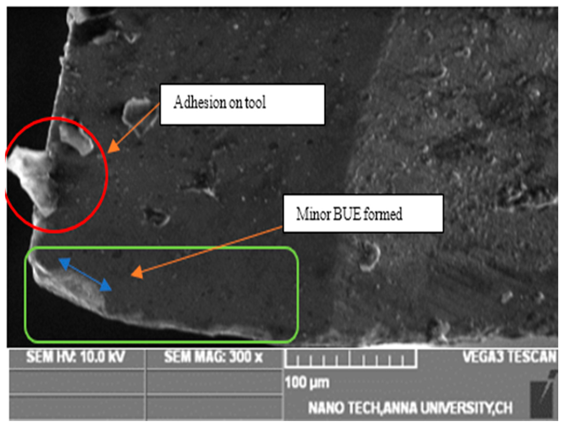 Lubricants 11 00087 g008