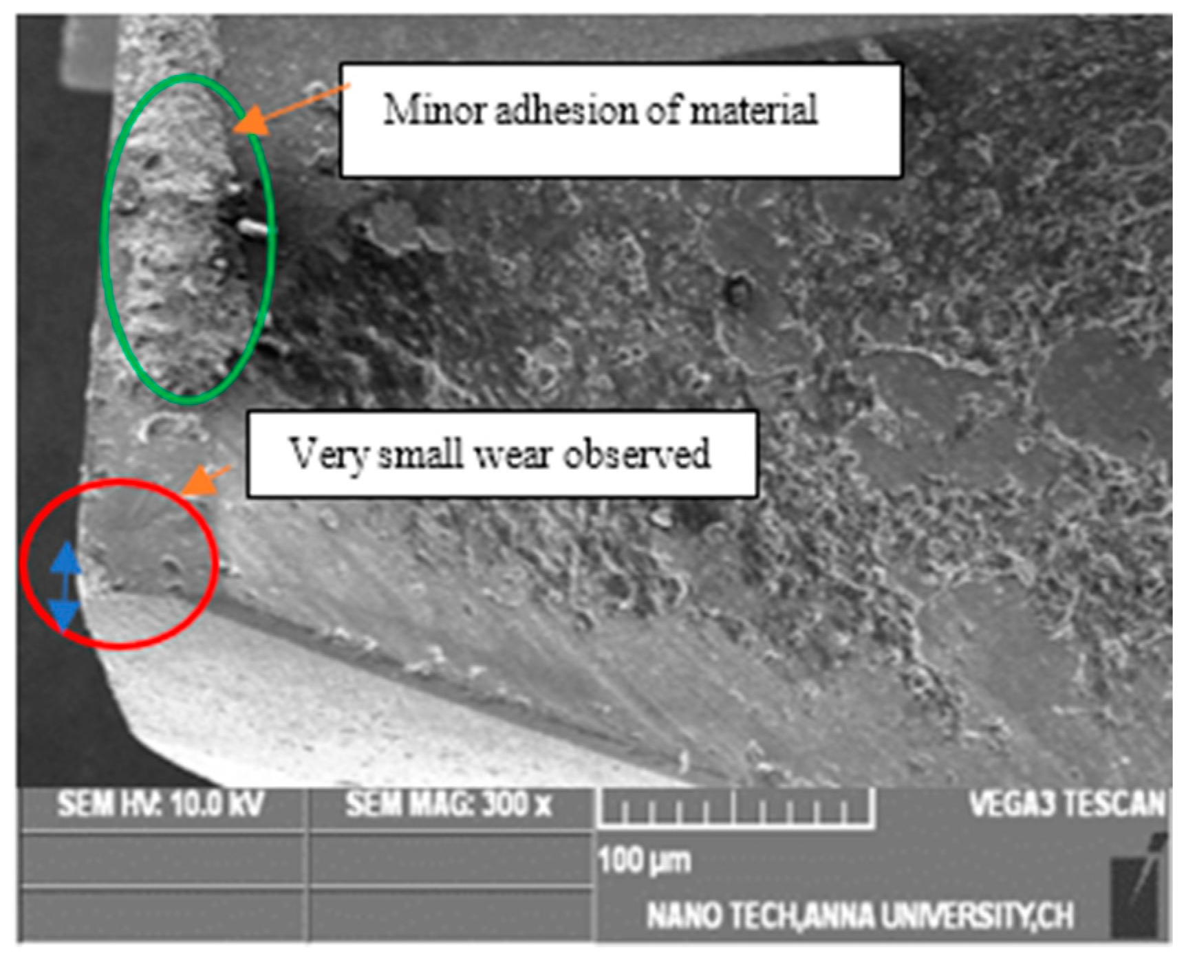 Lubricants 11 00087 g009