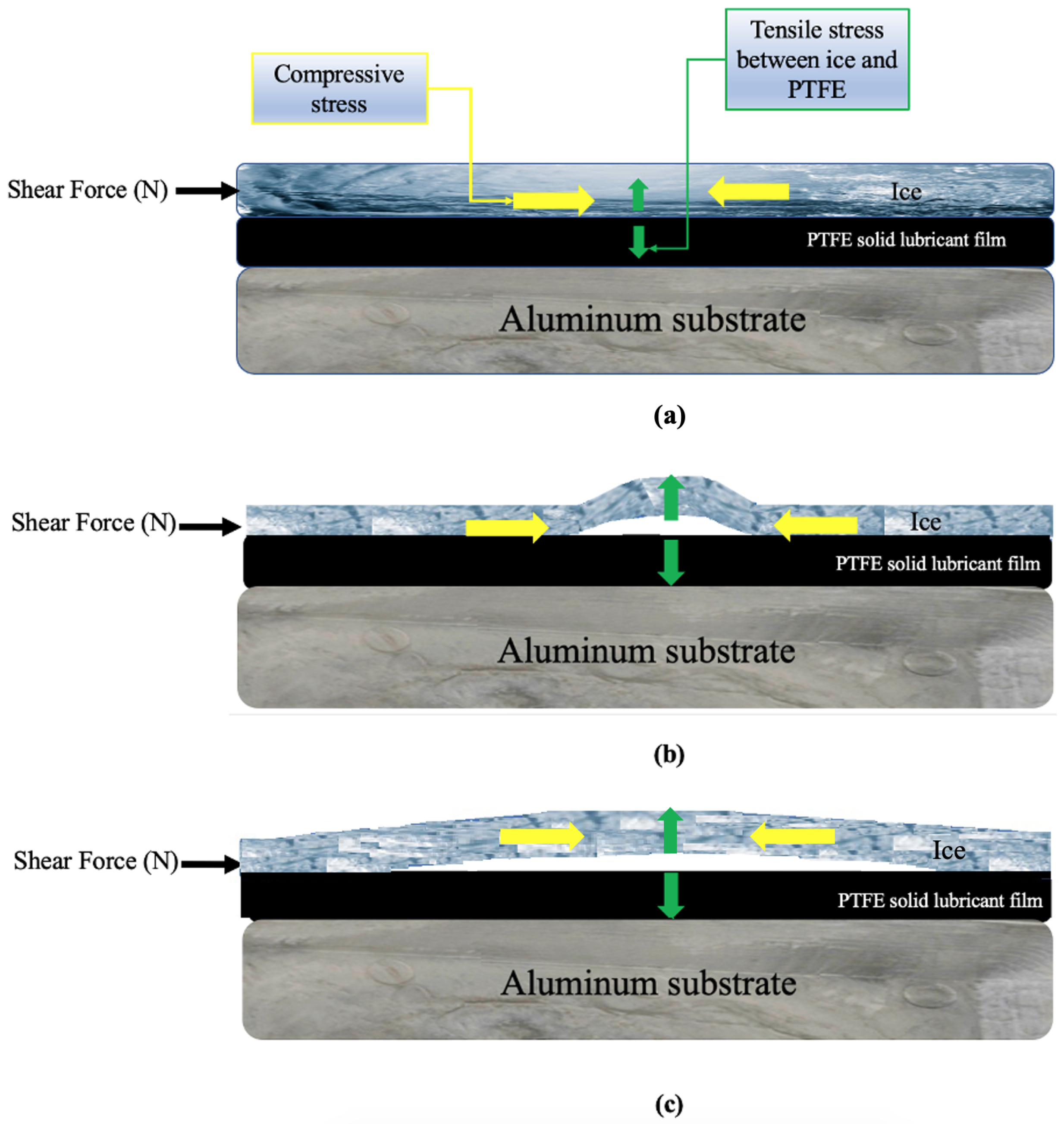 Lubricants 11 00105 g010 Lubricants 11 00105 g010