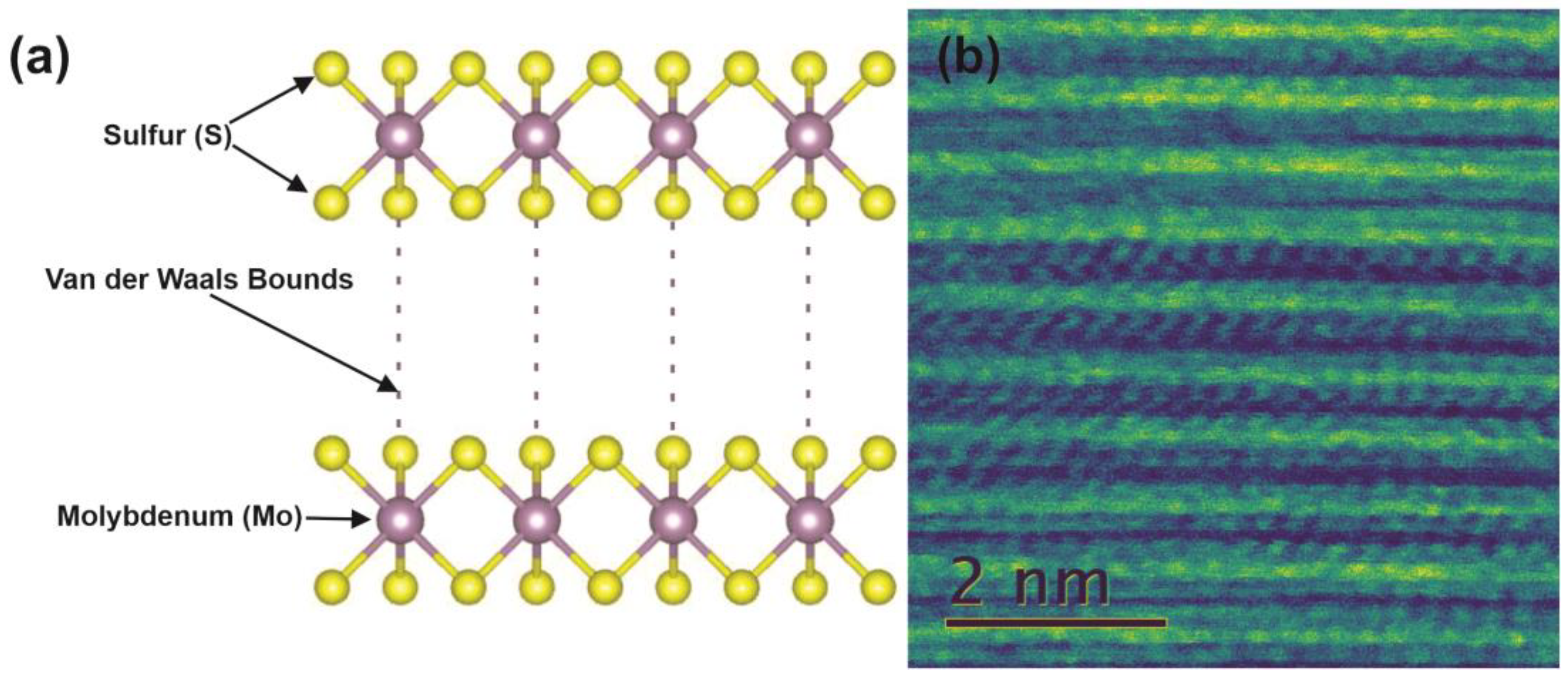 Lubricants 11 00137 g004 Lubricants 11 00137 g004