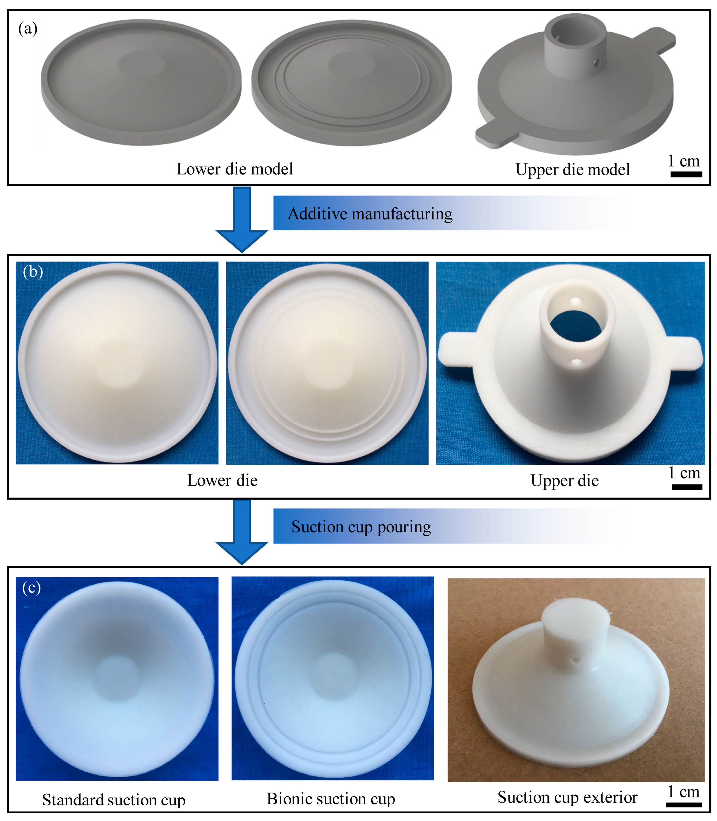 Lubricants 11 00152 g002 Lubricants 11 00152 g002
