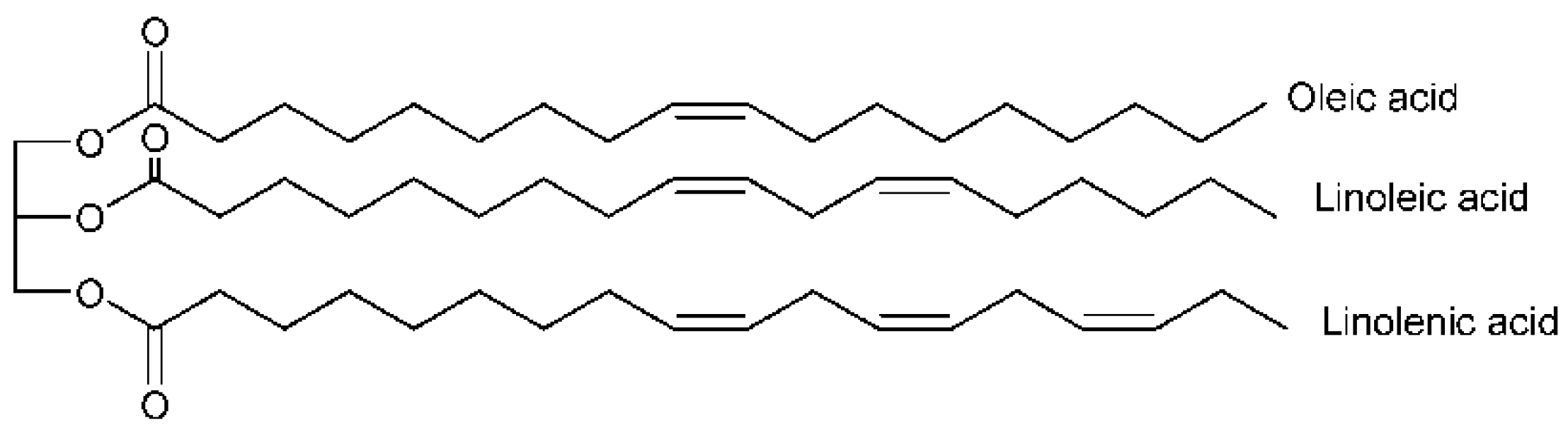 Lubricants 11 00160 g005