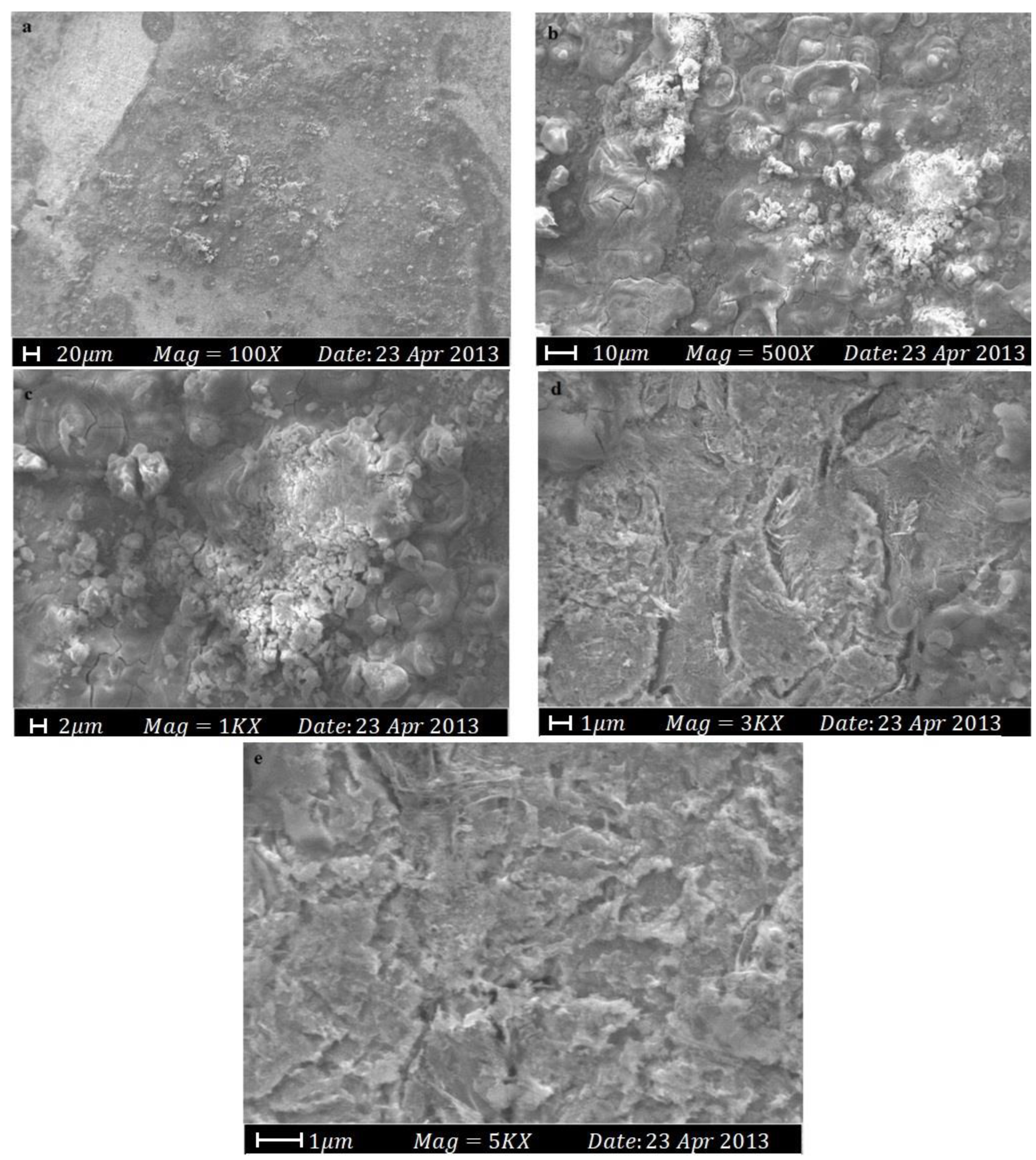 Lubricants 11 00174 g007