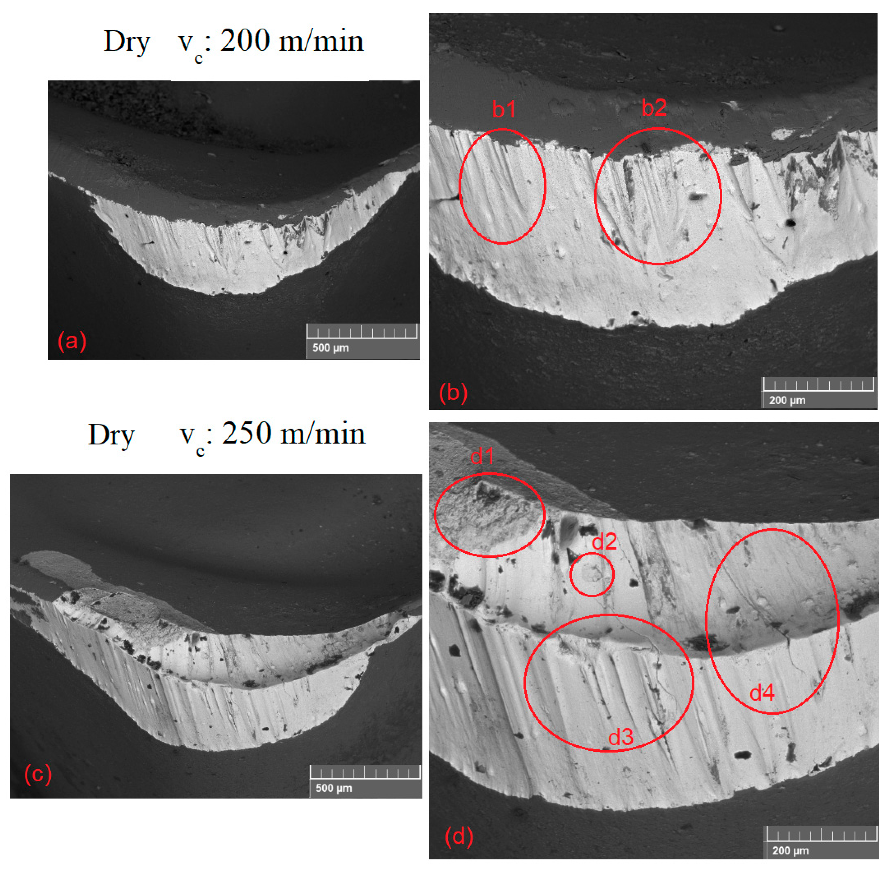 Lubricants 11 00175 g020