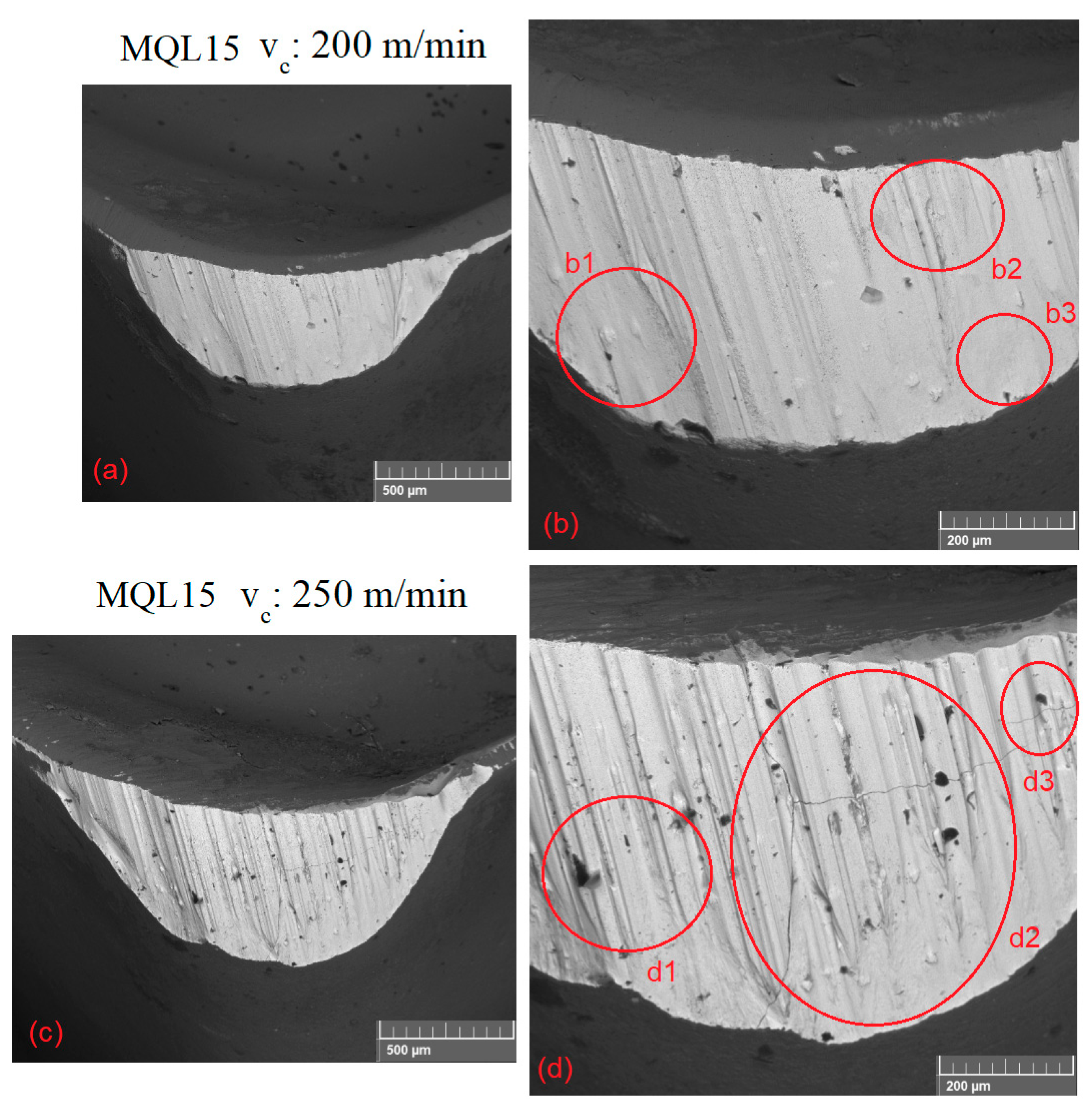 Lubricants 11 00175 g022