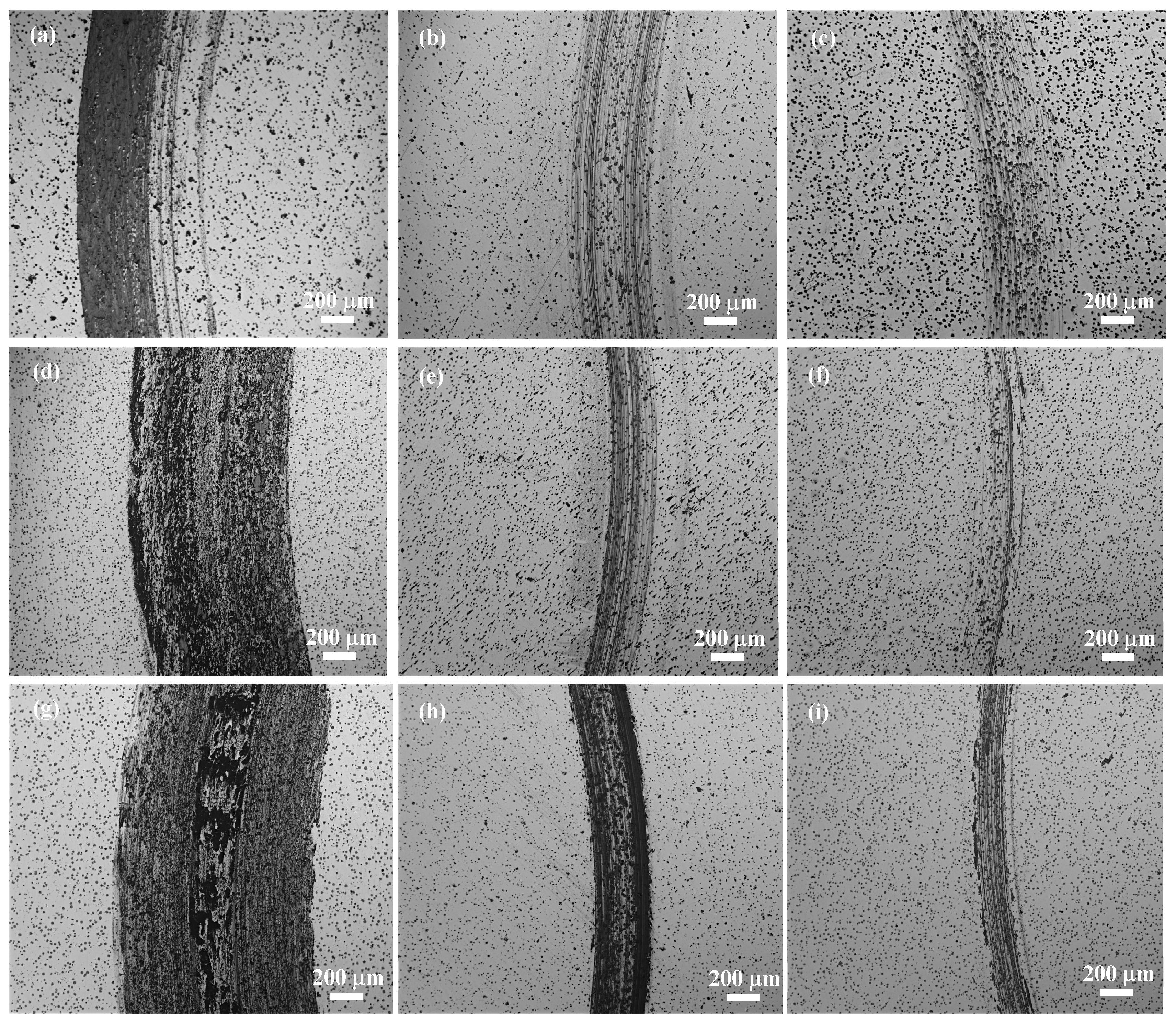 Lubricants 11 00182 g011